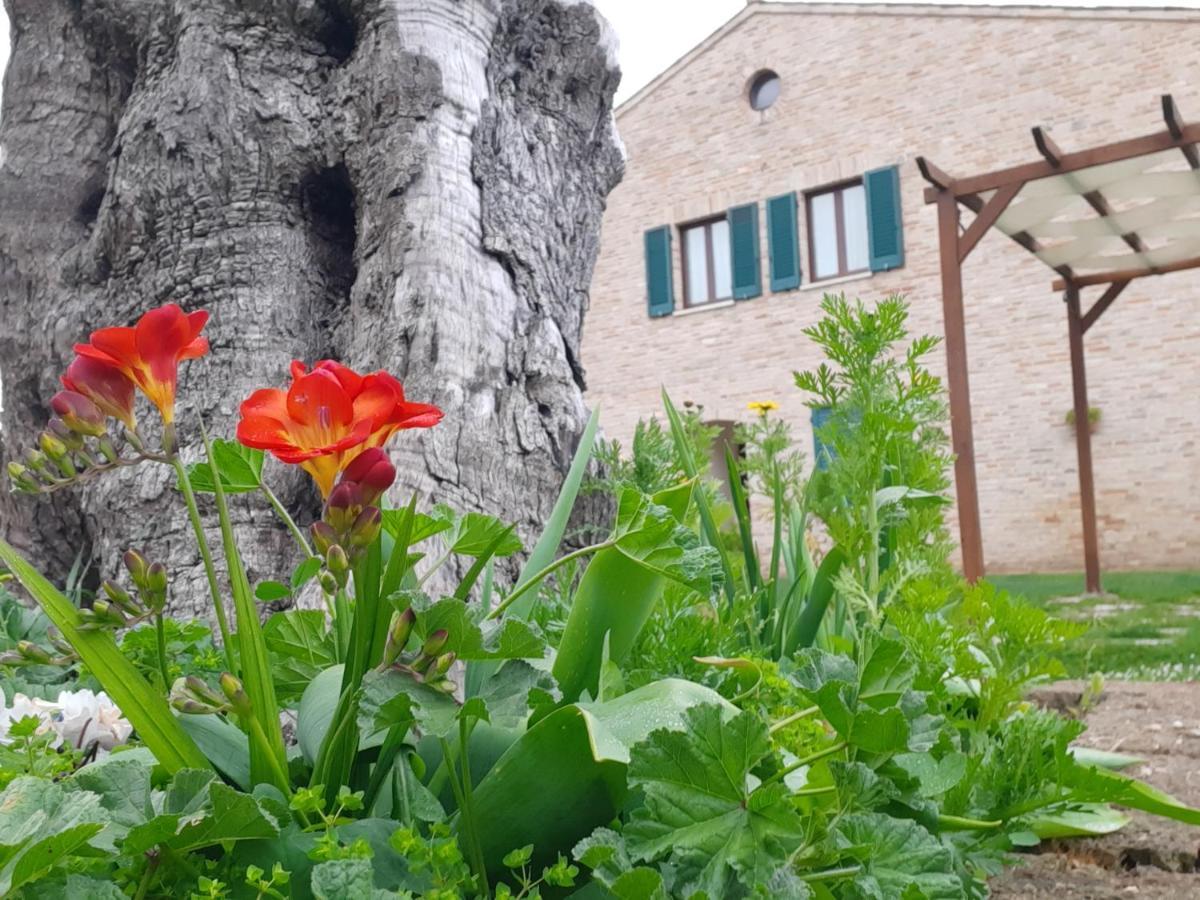 Casale Del Conero Aparthotel Porto Recanati Exteriör bild